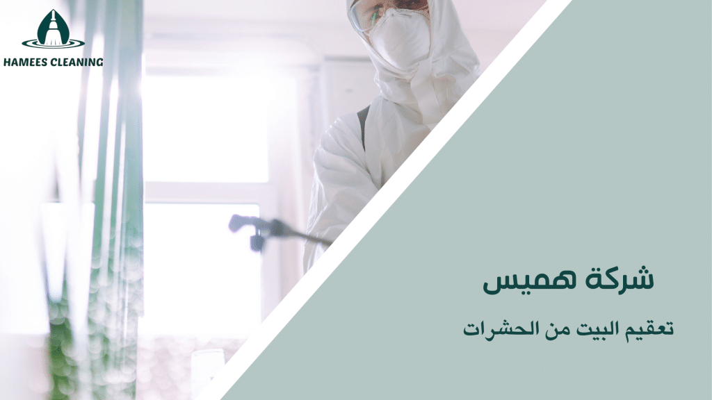 تعقيم البيت من الحشرات