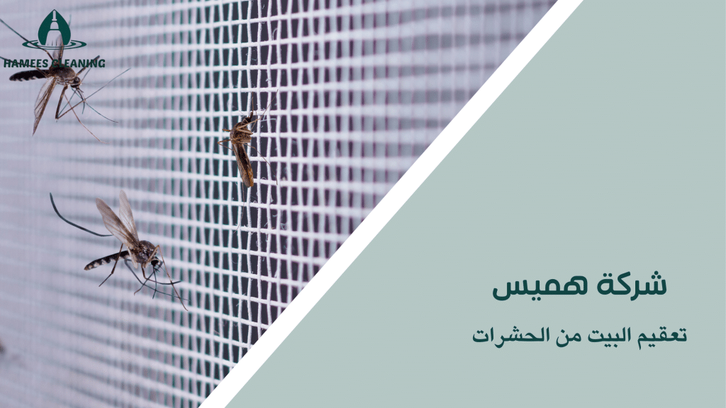 تعقيم البيت من الحشرات