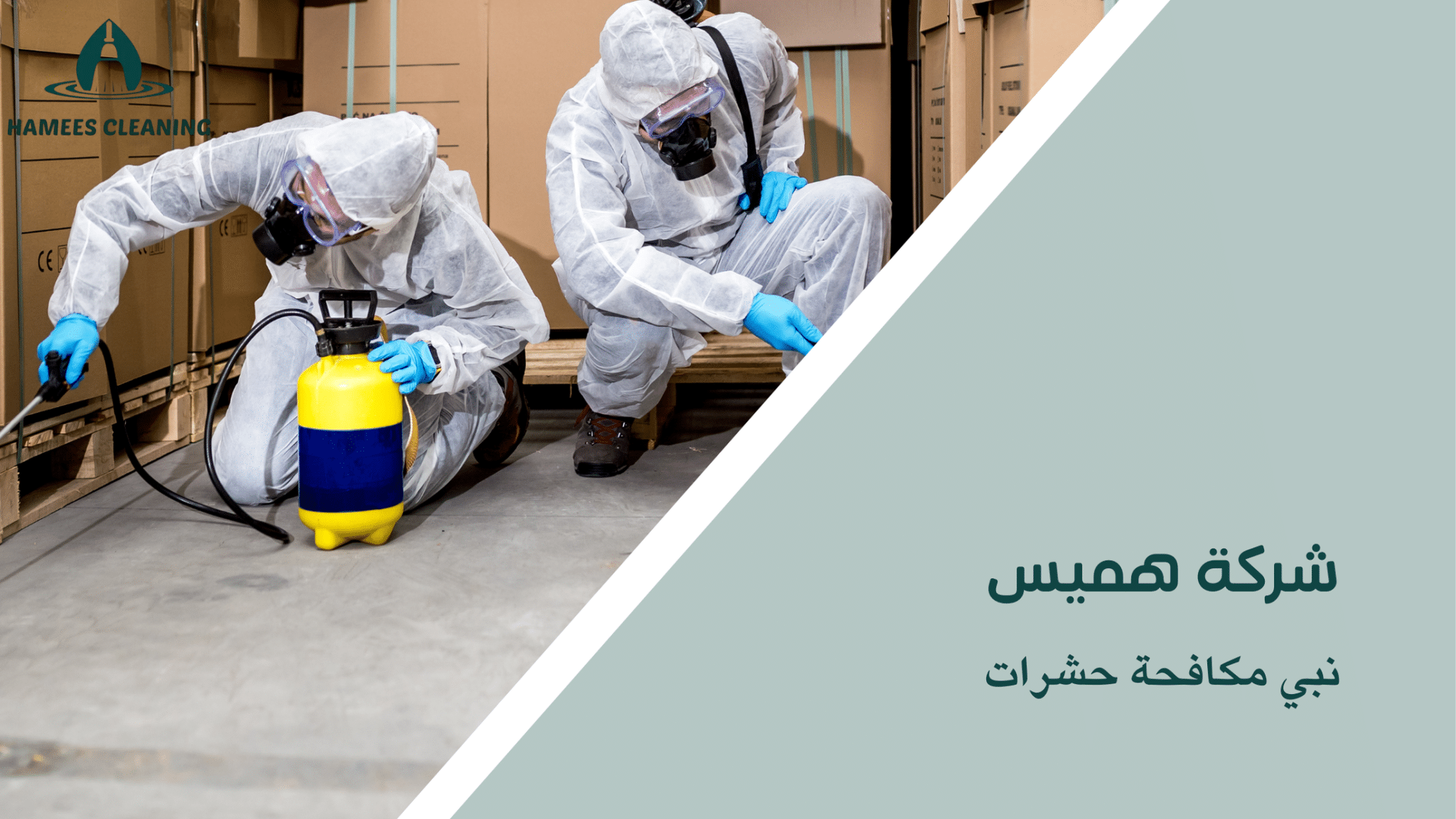 نبي مكافحة حشرات