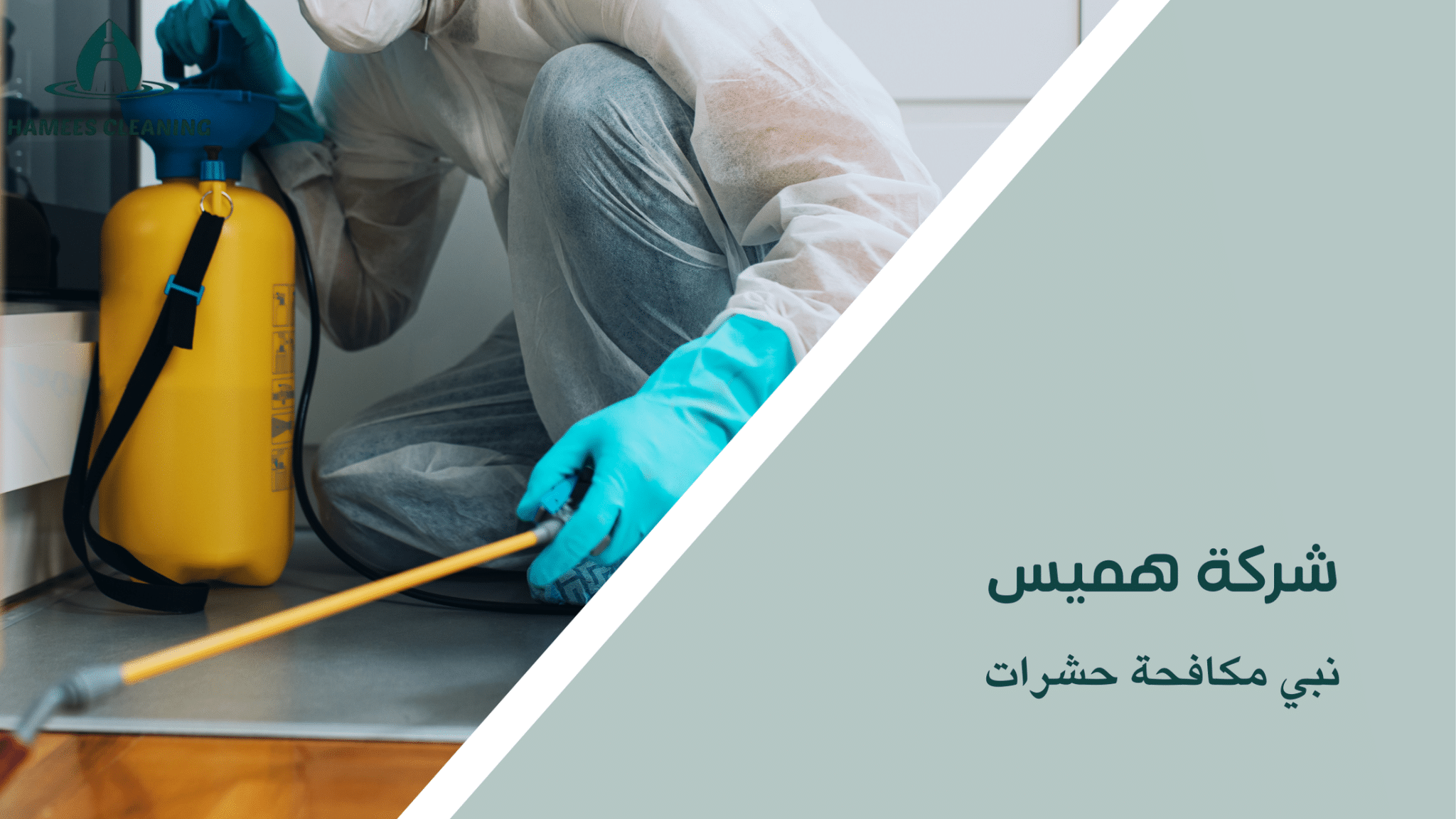 نبي مكافحة حشرات