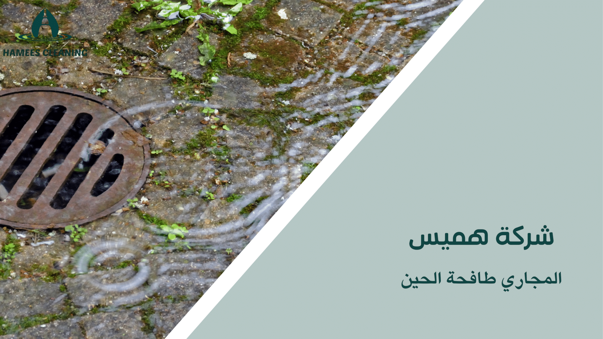 المجاري طافحة الحين