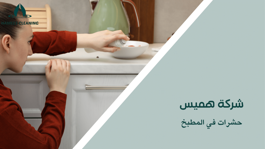 حشرات في المطبخ