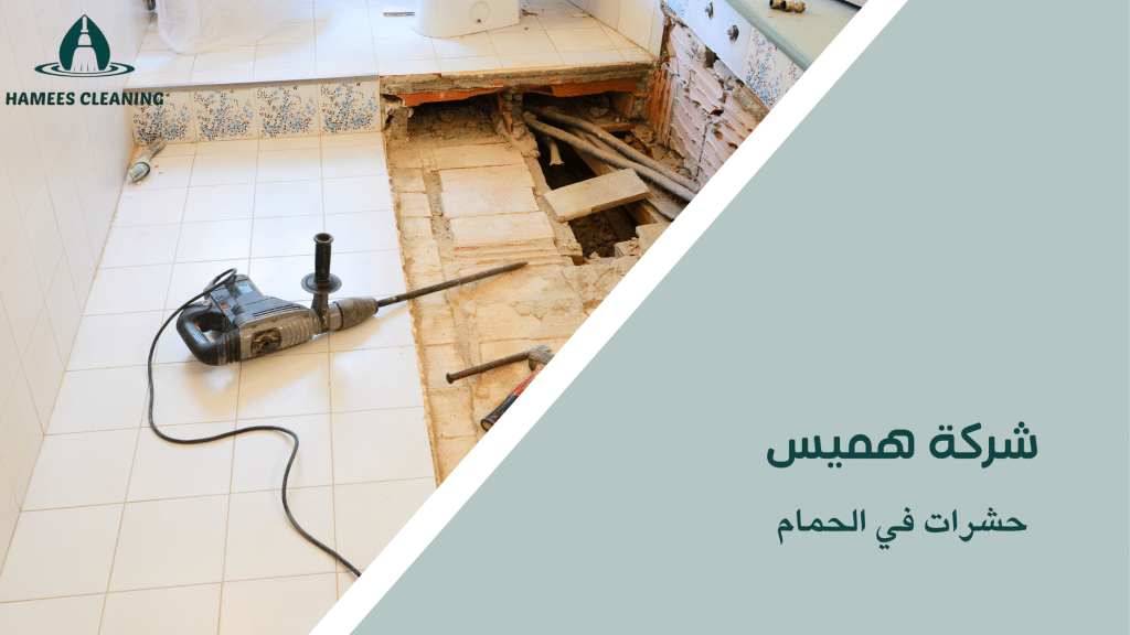 حشرات في الحمام