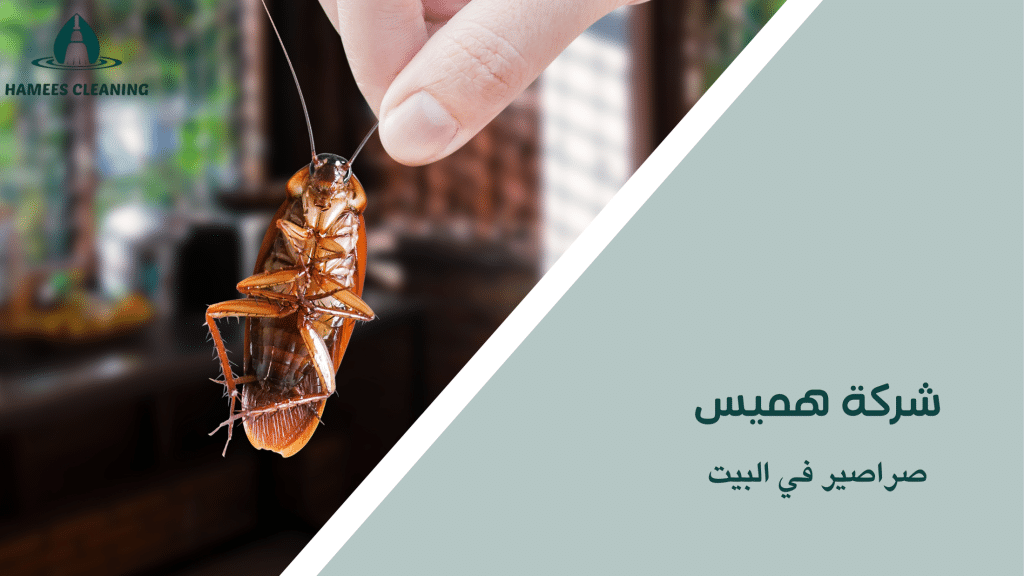 صراصير في البيت