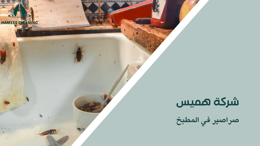 صراصير في المطبخ