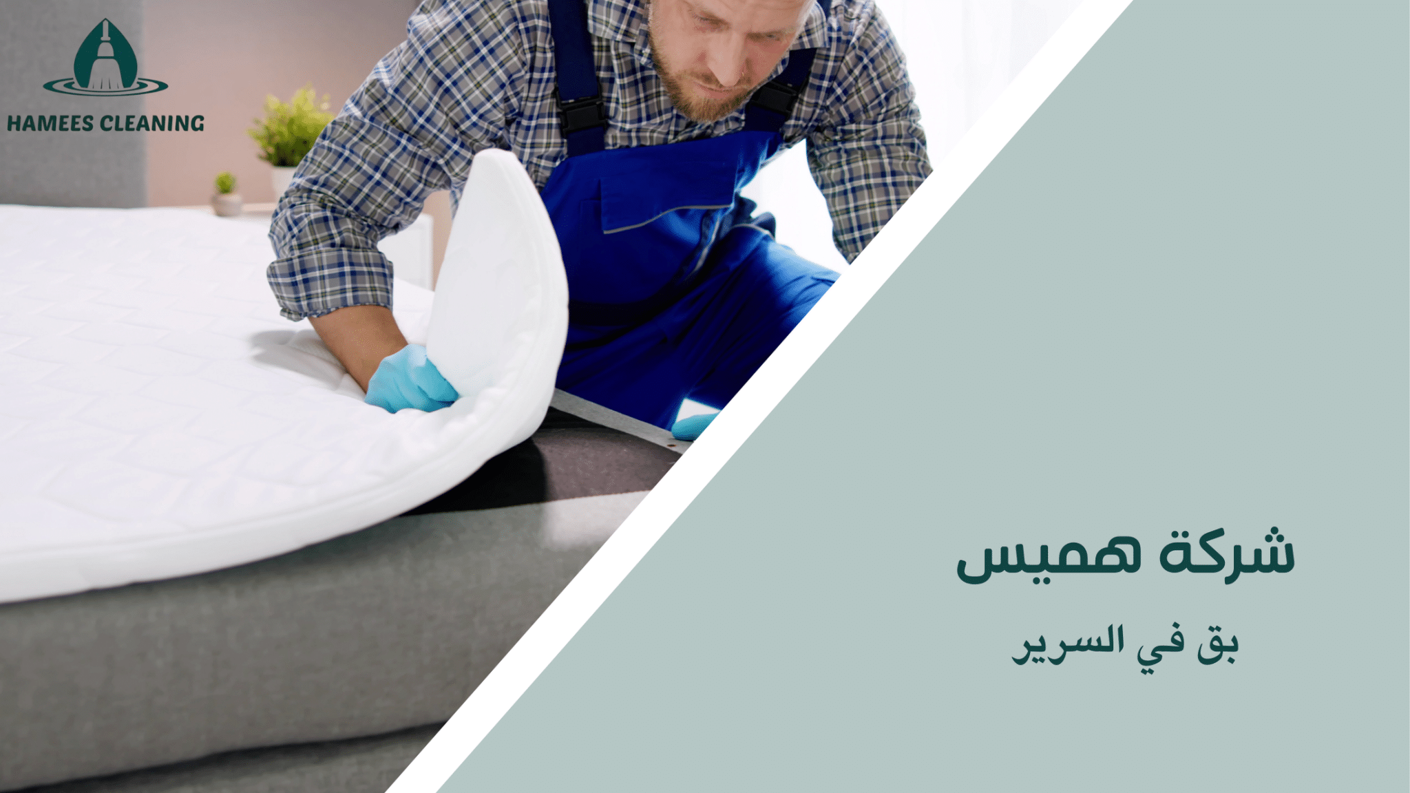 بق في السرير