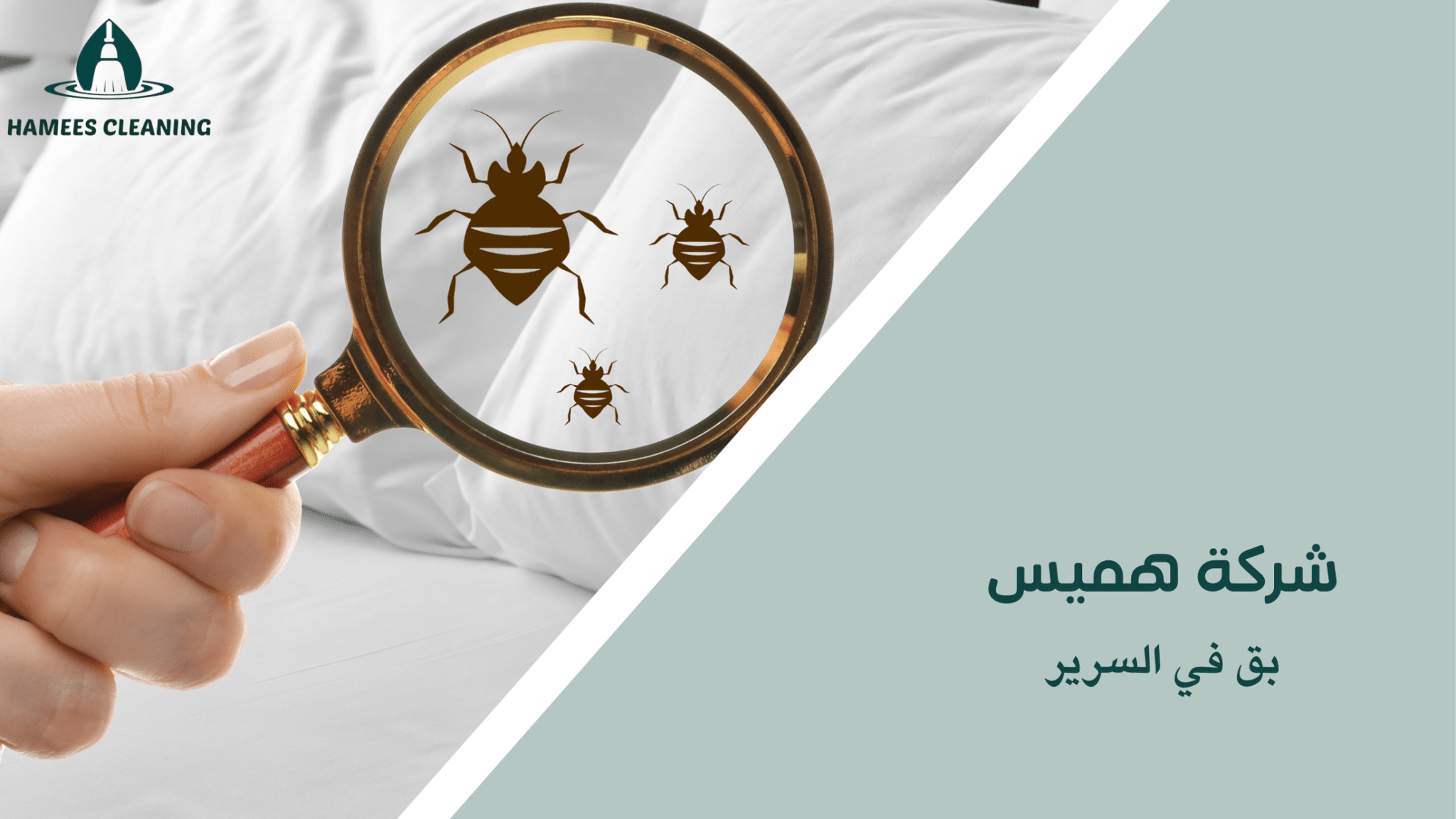 بق في السرير