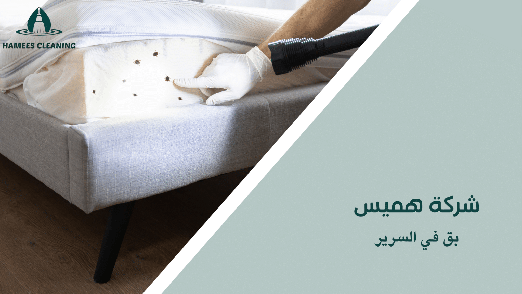 بق في السرير