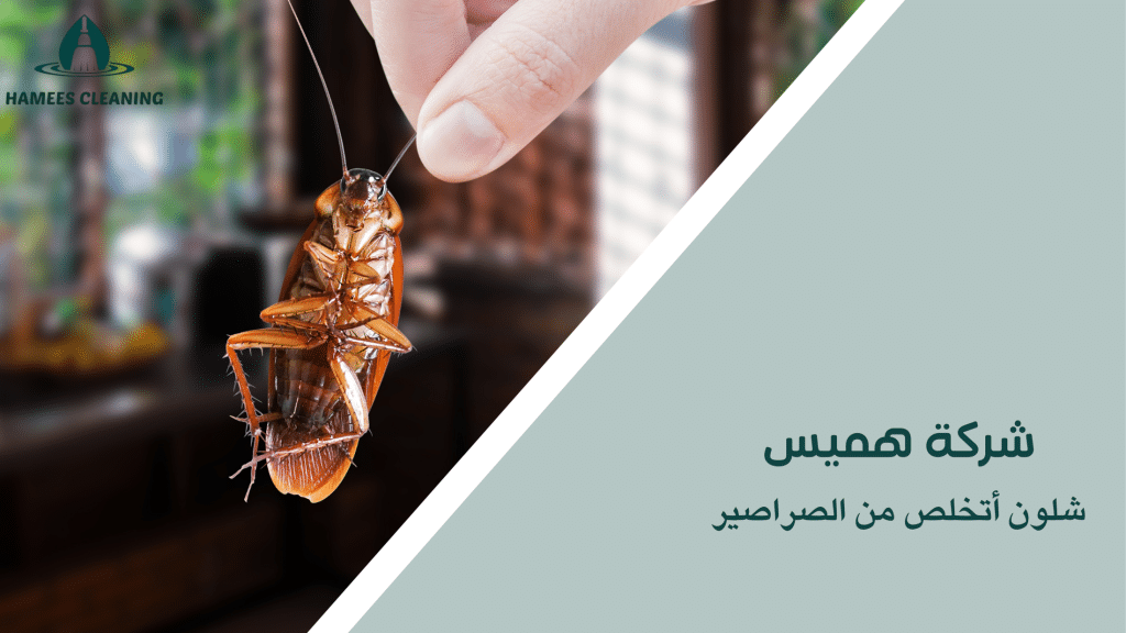شلون أتخلص من الصراصير