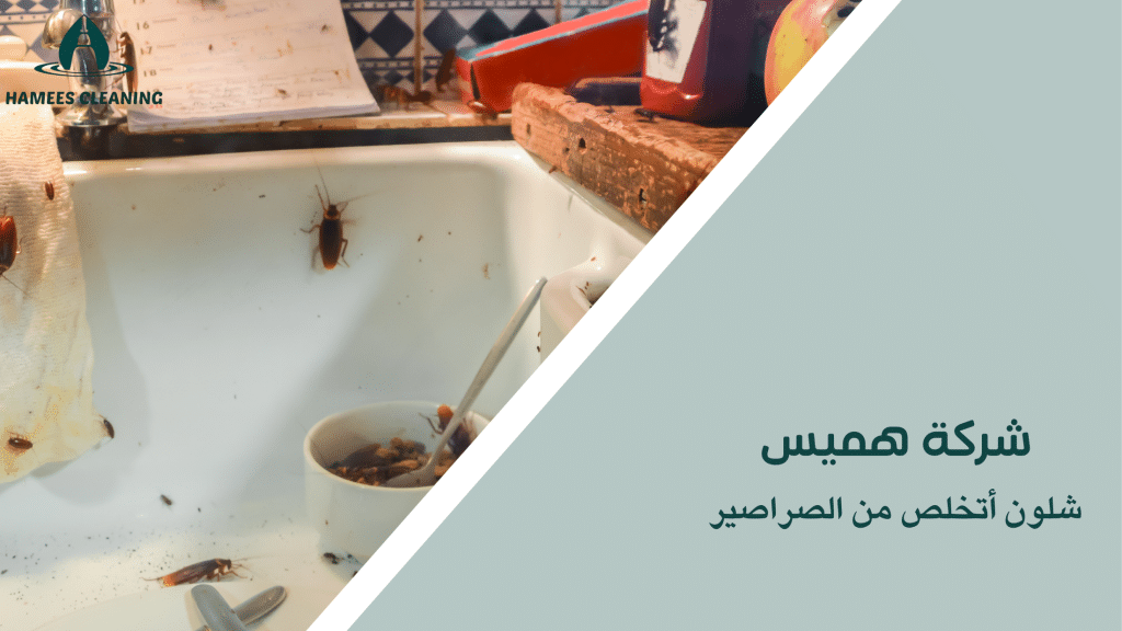 شلون أتخلص من الصراصير