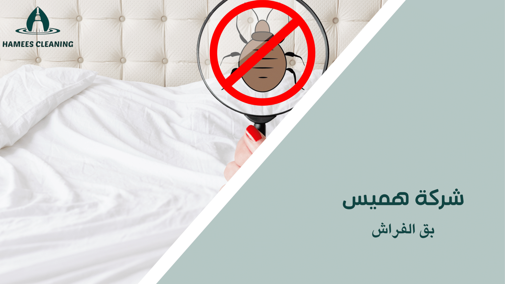 بق الفراش