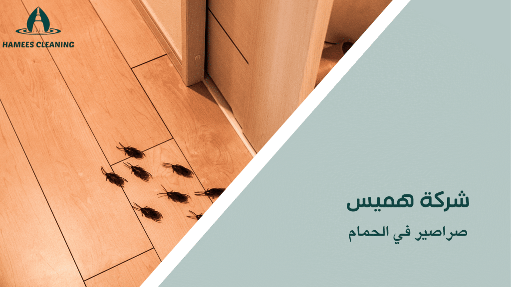 صراصير في الحمام
