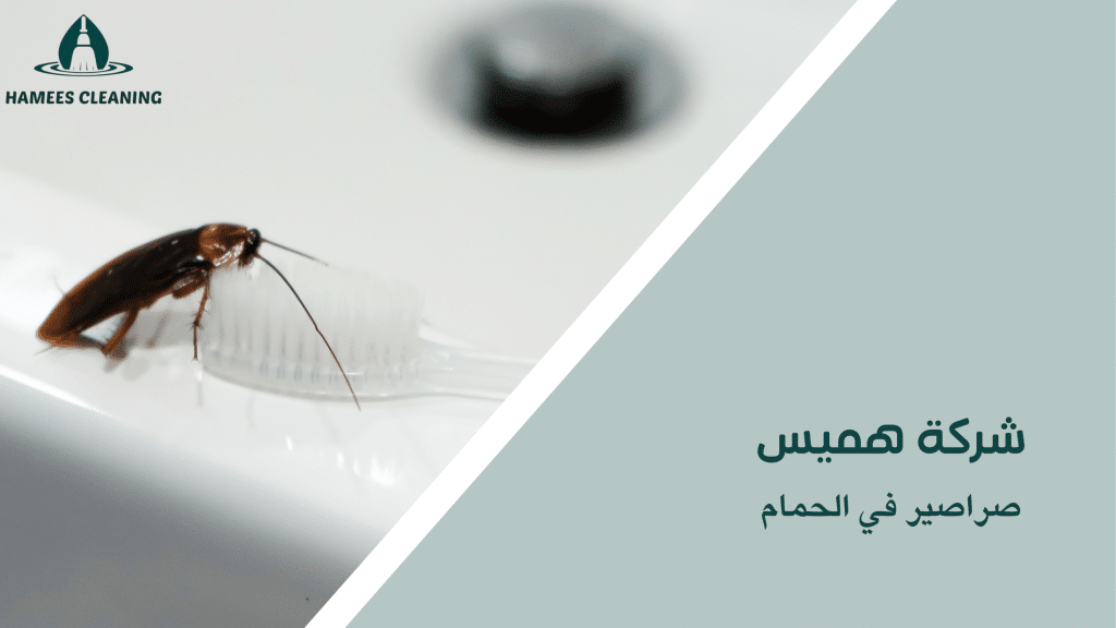 صراصير في الحمام