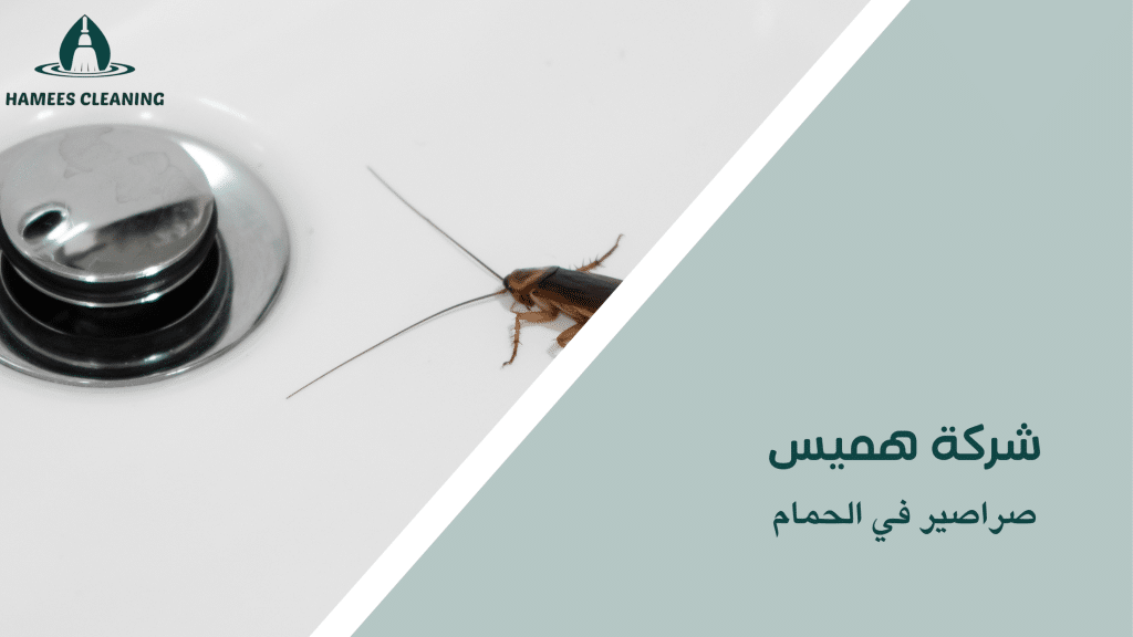 صراصير في الحمام