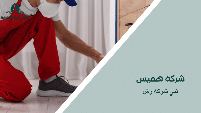 نبي شركة رش