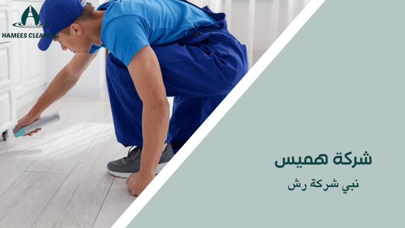 نبي شركة رش