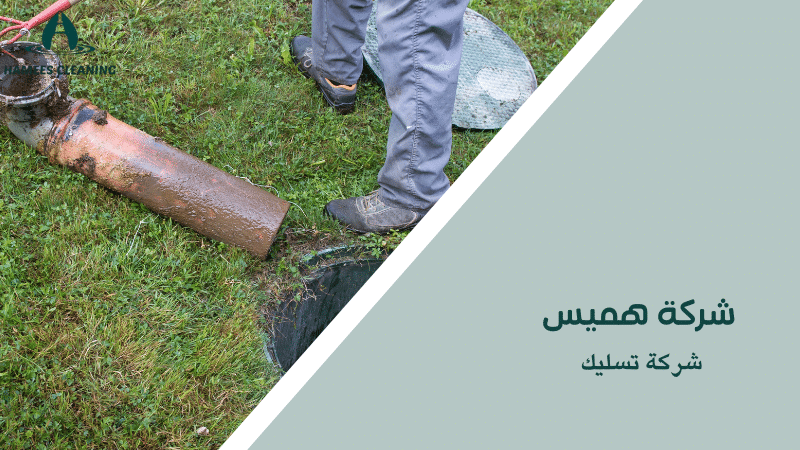 شركة تسليك