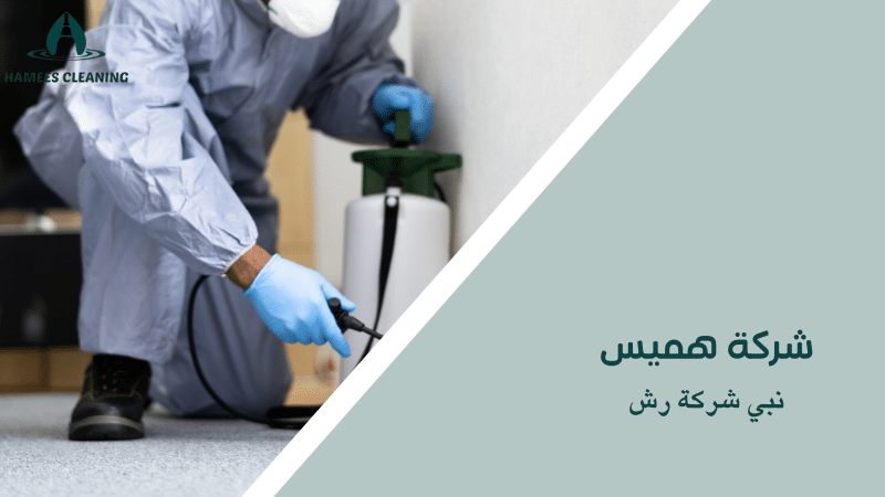 نبي شركة رش