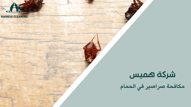 مكافحة صراصير في الحمام