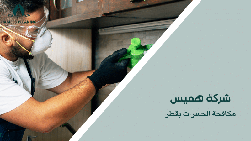 مكافحة الحشرات بقطر