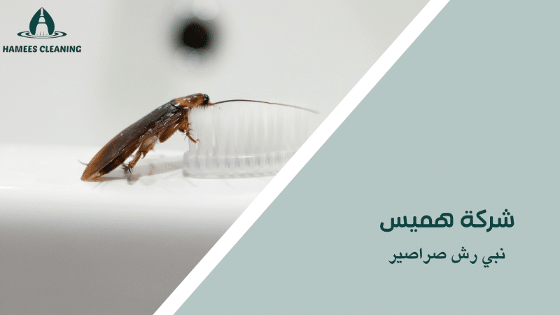 نبي رش صراصير