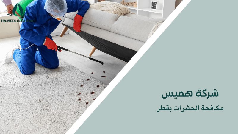 مكافحة الحشرات بقطر