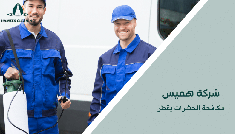 مكافحة الحشرات بقطر