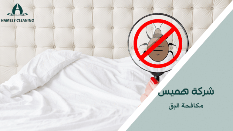مكافحة البق