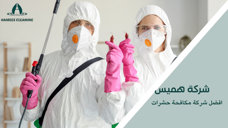 افضل شركة مكافحة حشرات