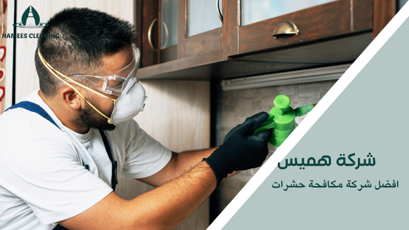 افضل شركة مكافحة حشرات