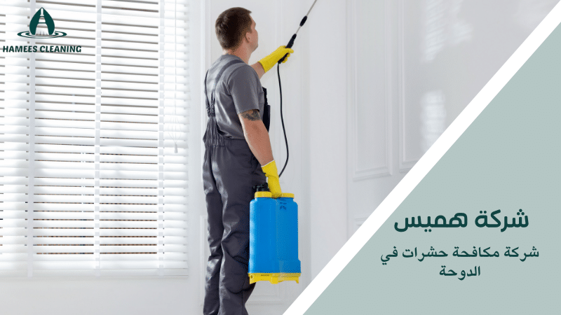 شركة مكافحة حشرات في الدوحة