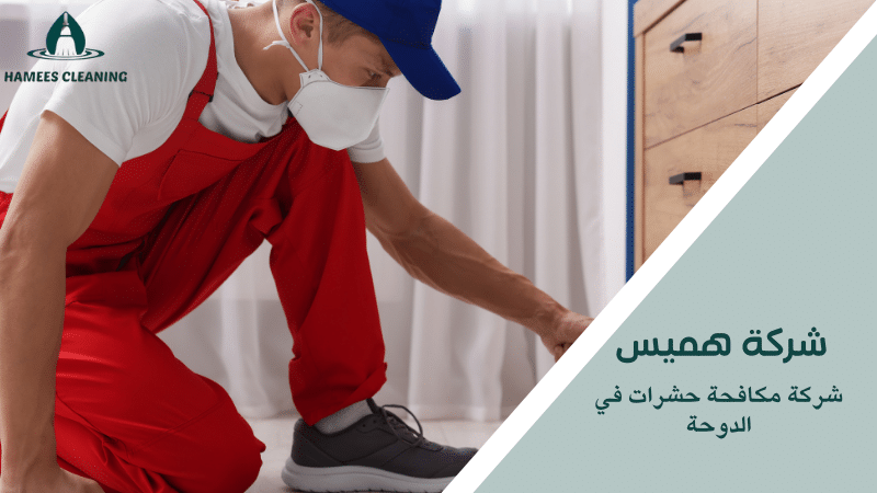 شركة مكافحة حشرات في الدوحة