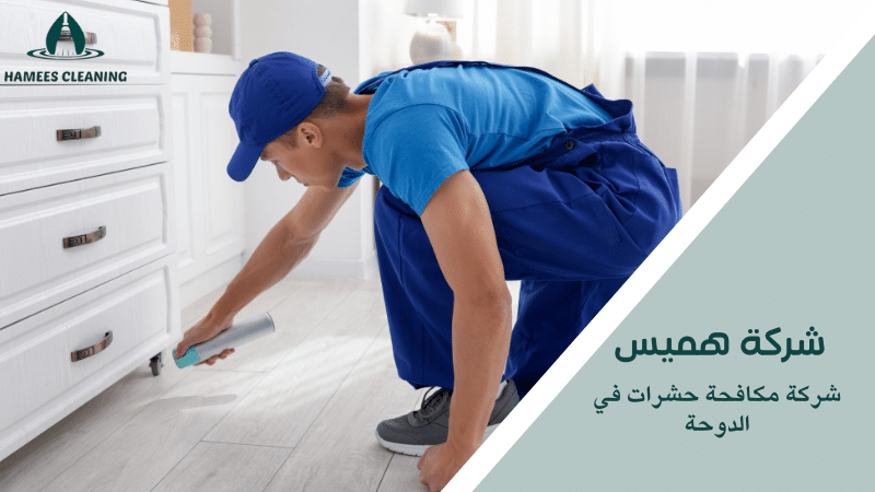 شركة مكافحة حشرات في الدوحة
