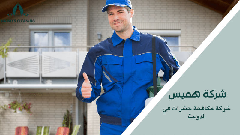شركة مكافحة حشرات في الدوحة