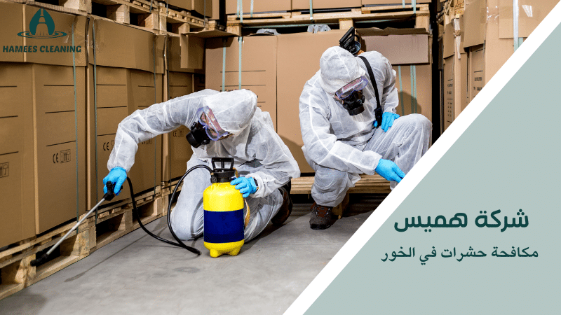 مكافحة حشرات في الخور