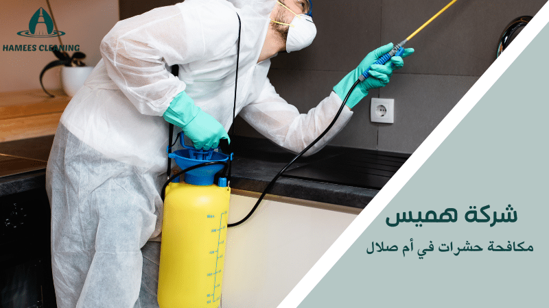 مكافحة حشرات في أم صلال