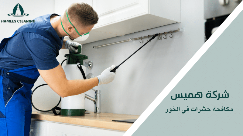 مكافحة حشرات في الخور