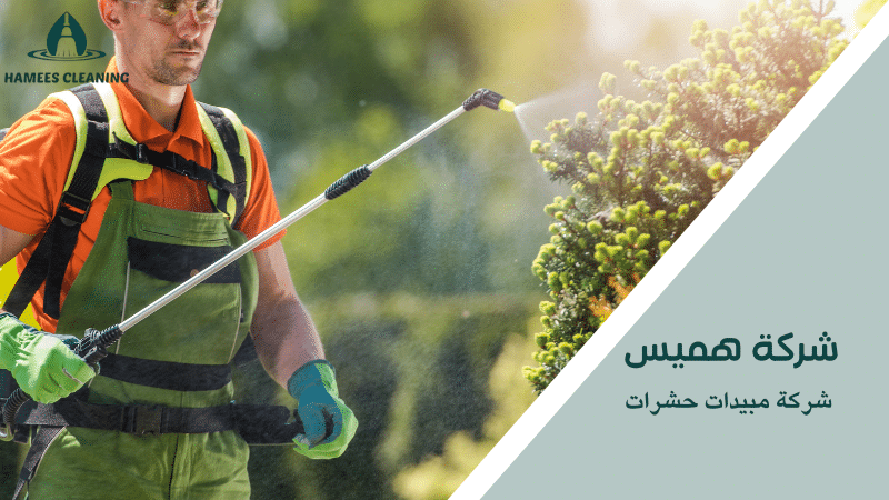 شركة مبيدات حشرات
