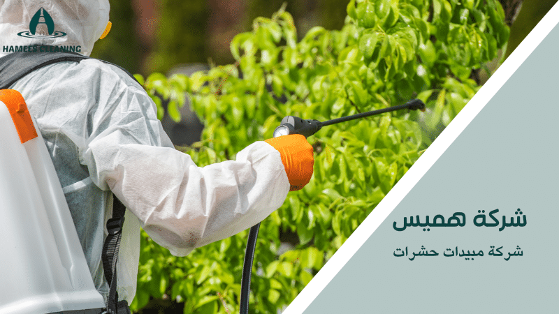 شركة مبيدات حشرات