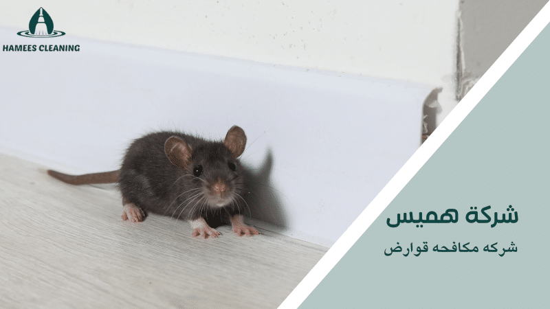 شركه مكافحه قوارض