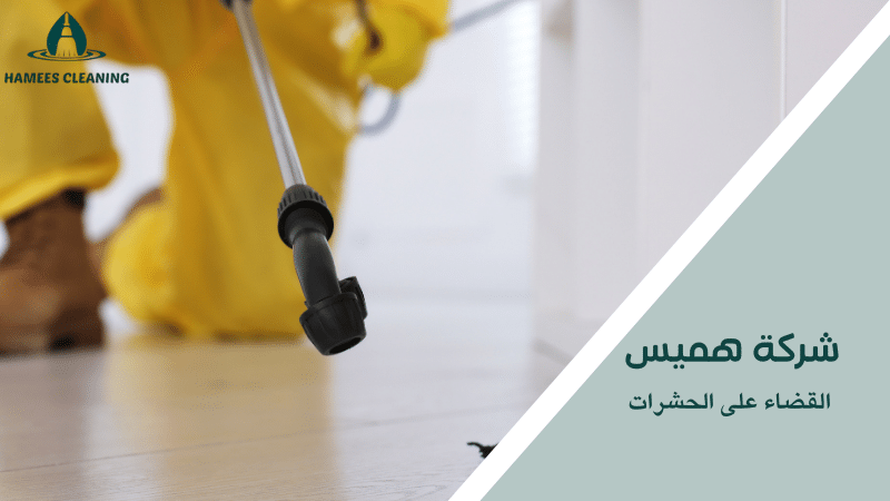 القضاء على الحشرات