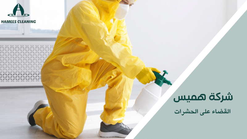 القضاء على الحشرات